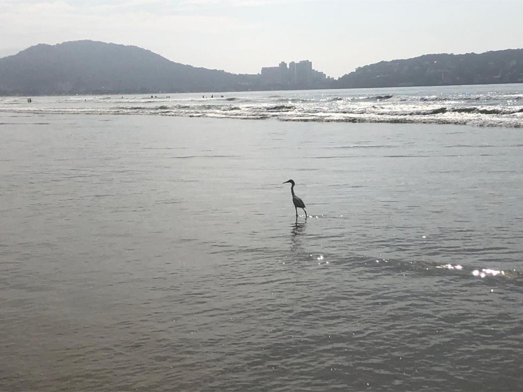 3 Dormitorios No Guaruja, Proximo Ao Aquario! Sinta-Se Em Casa! Exteriör bild